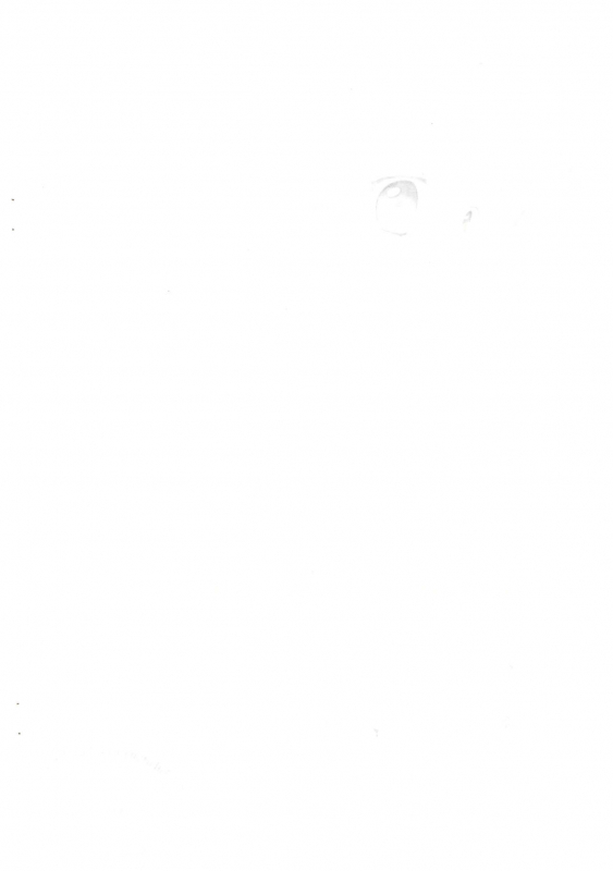 [chibitan (Chiiko)] Chibitan. (Mahou Shoujo Lyrical Nanoha)_01