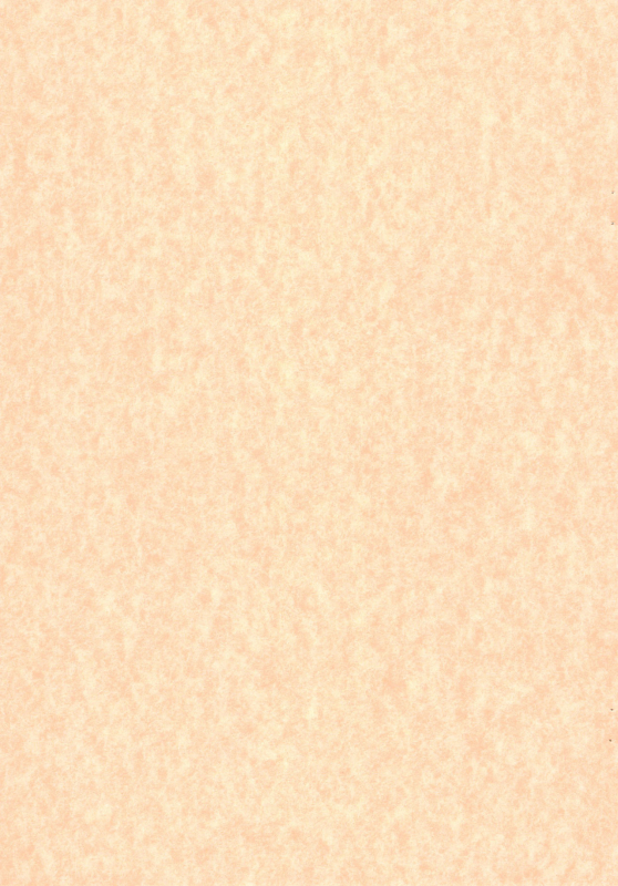 [chibitan (Chiiko)] Chibitan. (Mahou Shoujo Lyrical Nanoha)_02