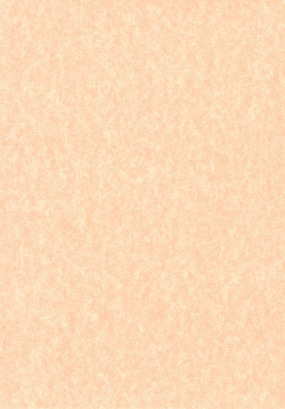 [chibitan (Chiiko)] Chibitan. (Mahou Shoujo Lyrical Nanoha)_03