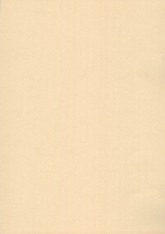 [chibitan (Chiiko)] Chibitan. (Mahou Shoujo Lyrical Nanoha)_12