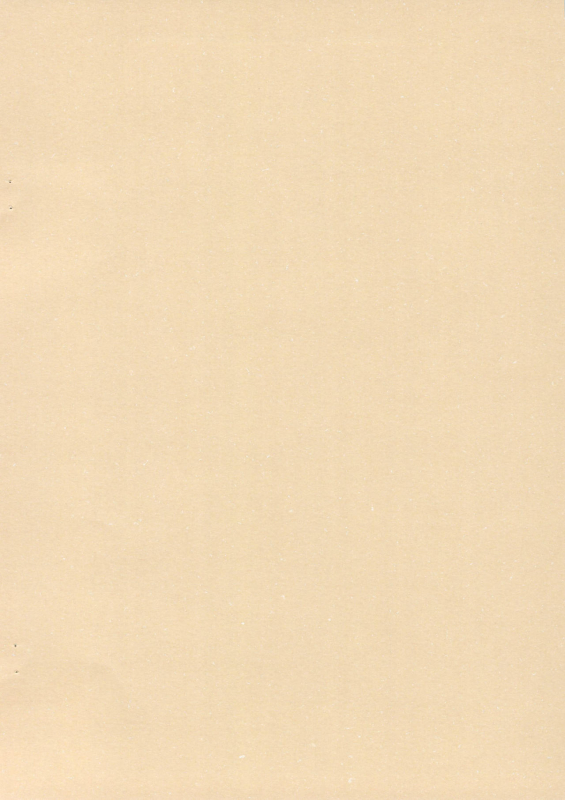 [chibitan (Chiiko)] Chibitan. (Mahou Shoujo Lyrical Nanoha)_13