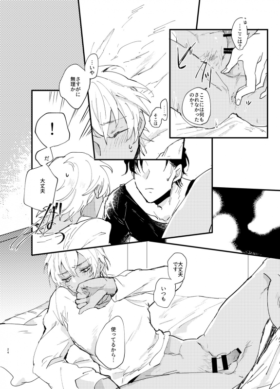 [metromania (Hatopoppo)] End Roll wa Yume no Ato ni. (Detective Conan) [Digital]_22