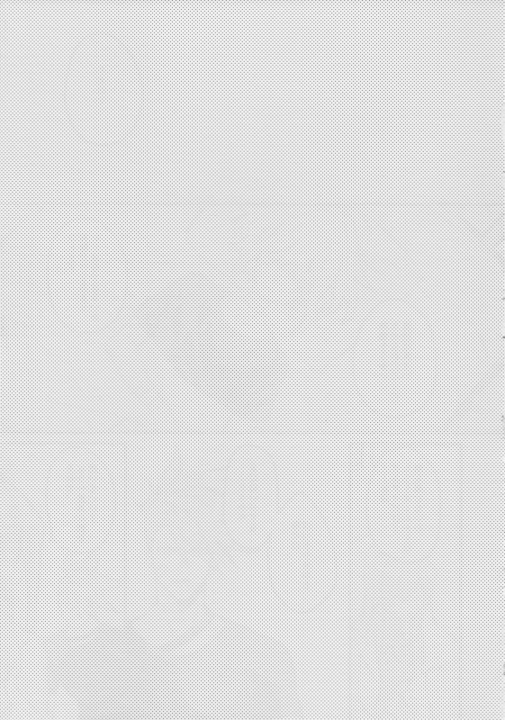 [ばってんぱにっく！ (えーど)] ヤマアラシの揺り籠・下 (Promare)_034