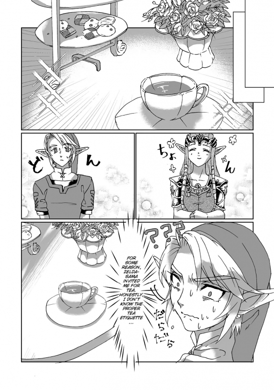 [MYLAB (Shiroa Urang)] Schedar (The Legend of Zelda) [English] [Digital]_05