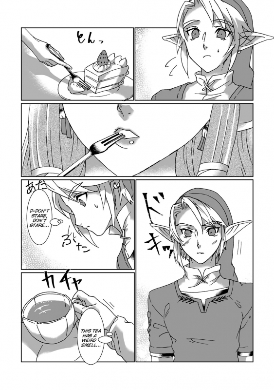 [MYLAB (Shiroa Urang)] Schedar (The Legend of Zelda) [English] [Digital]_06