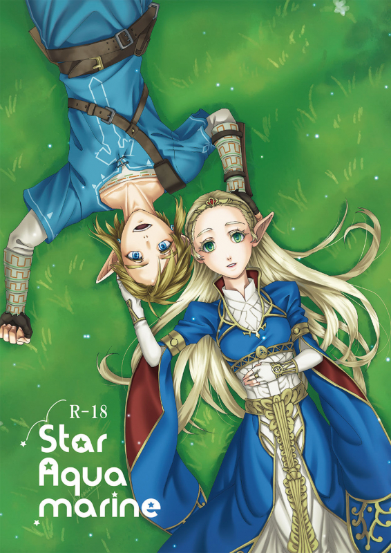 [MYLAB (Shiroa Urang)] Star Aquamarine (The Legend of Zelda) [English] [Digital]_00