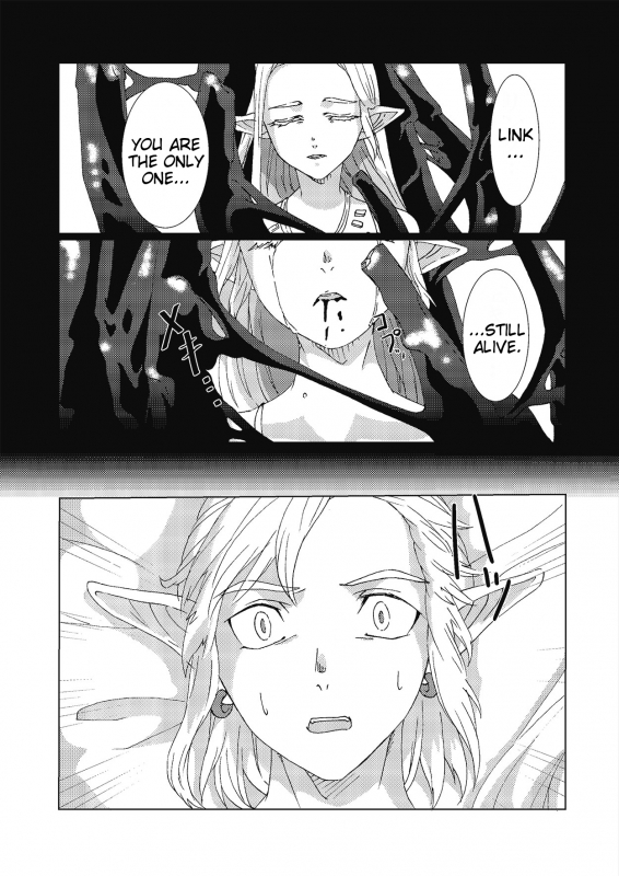 [MYLAB (Shiroa Urang)] Star Aquamarine (The Legend of Zelda) [English] [Digital]_05
