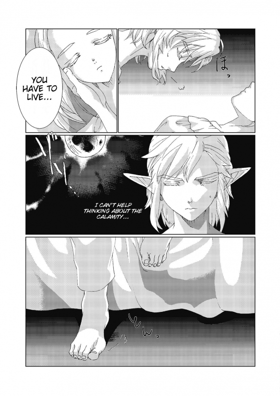 [MYLAB (Shiroa Urang)] Star Aquamarine (The Legend of Zelda) [English] [Digital]_07