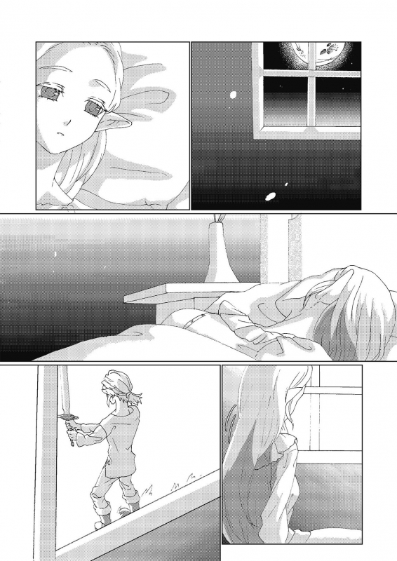 [MYLAB (Shiroa Urang)] Star Aquamarine (The Legend of Zelda) [English] [Digital]_08