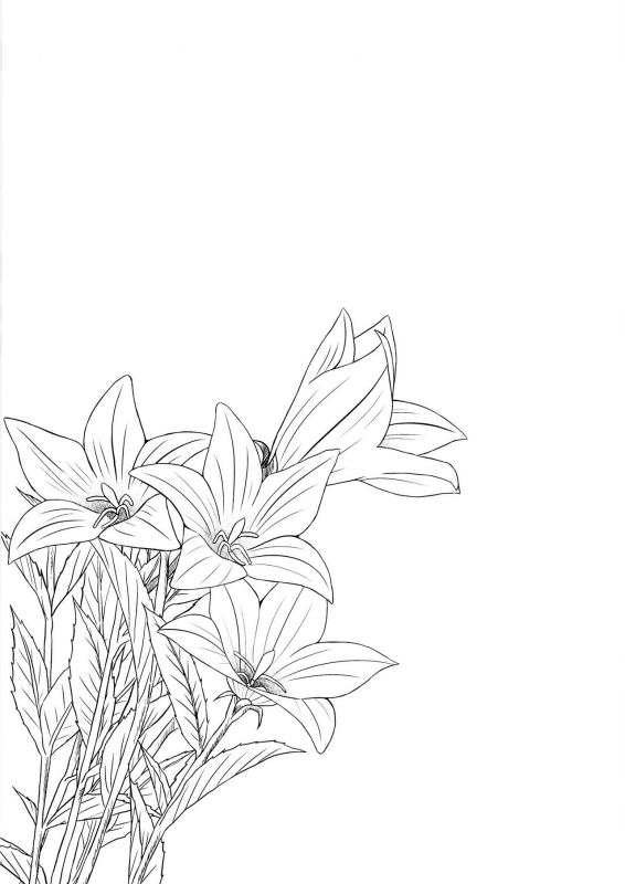 [Noraneko-no-Tama (Yukino Minato)] Hikari no Kimi no Saganaki Keikaku (Akashi) [Englis_19