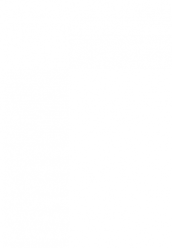 [Quzilax] One Piece [English] [biribiri]_54