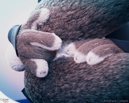 colonelyobojudy hoppsf0ec26f20d10aff7fa0b1a45a37c3636