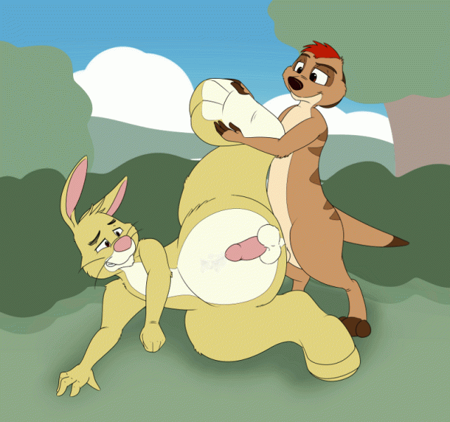 neenyarabbit (winnie the pooh)+timon96f950d023a0bef980172851a77d6936