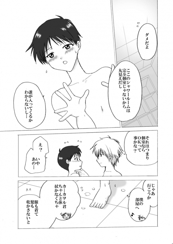 (C76) [Mix Company (Takai Haruma)] NS (Neon Genesis Evangelion)_13