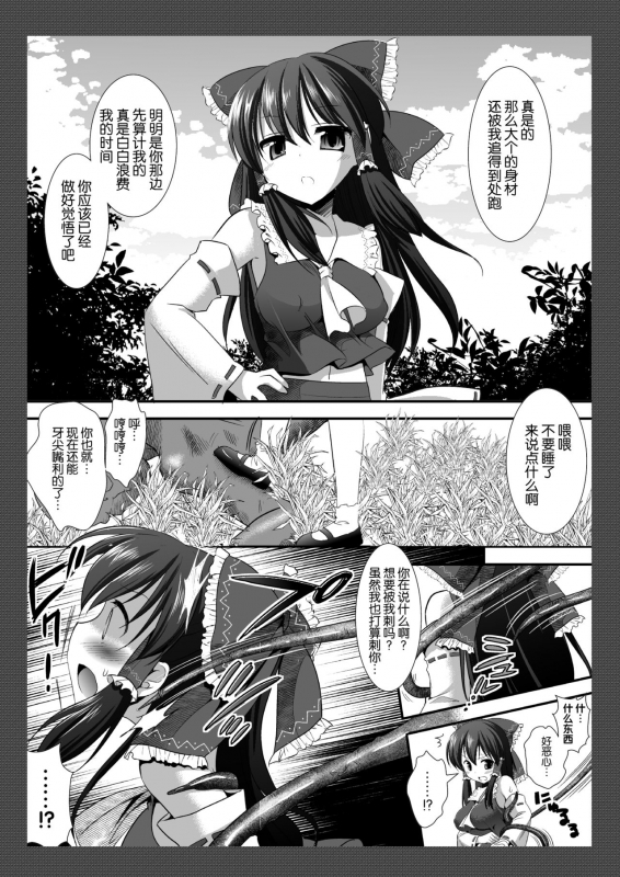 (C79) [Nagiyamasugi (Nagiyama)] Touhou Ryoujoku 8 (Touhou Project) [Chinese]_02