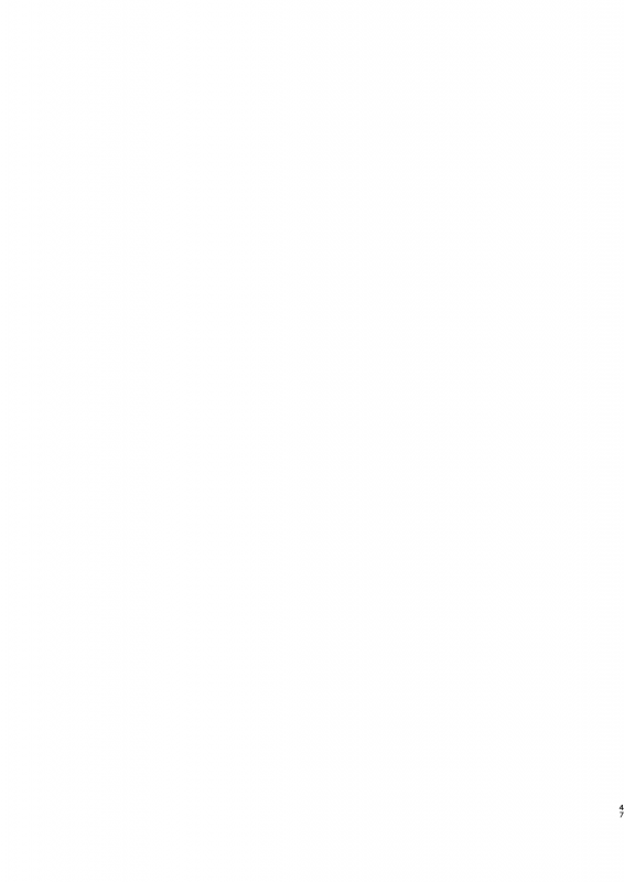 (C84) [Kakumei Seifu Kouhoushit_46