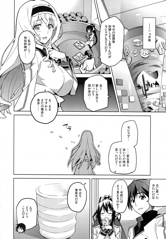 (C84) [Shinjugai (Takeda Hiromitsu)] Sutotama (IS Infinite Stratos)_24