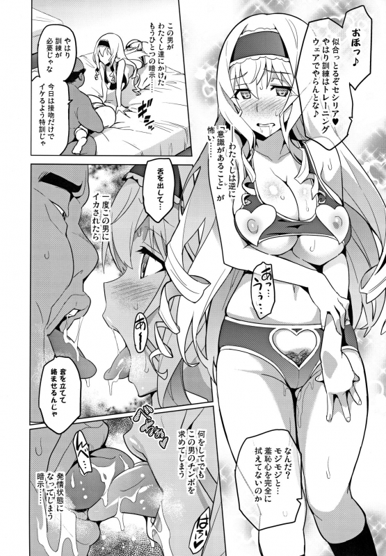 (C84) [Shinjugai (Takeda Hiromitsu)] Sutotama (IS Infinite Stratos)_28