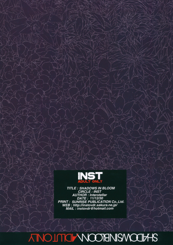 (C81) [Inst (Interstellar)] SHADOWS IN BLOOM (Touhou Project) [Chinese] [新桥月白日语社]_39