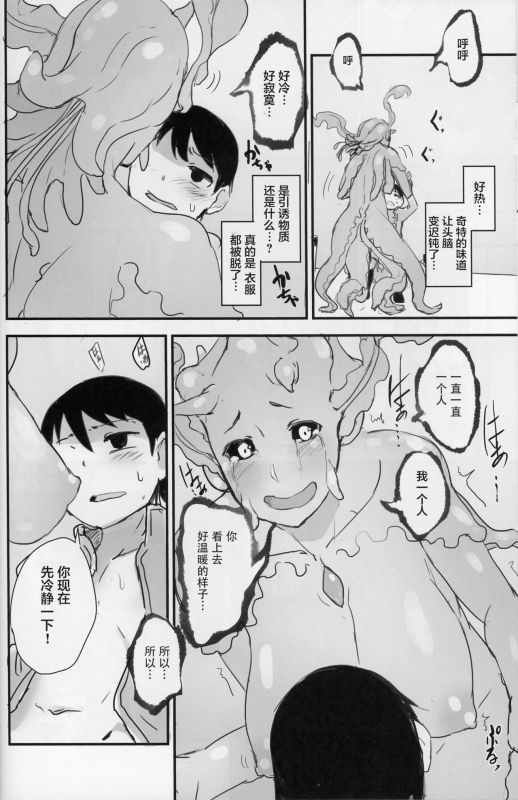 (C89) [Sakekan Memorial (SolopipB)] Crystalloid no Ganbou [Chinese] [零食汉化组]_10