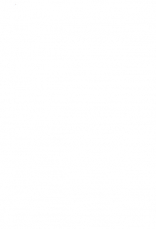 (C95) [Tonzura Douchuu (Kazawa)] Saimin Flan Hypnotised Flan (Touhou Project) [English]_01