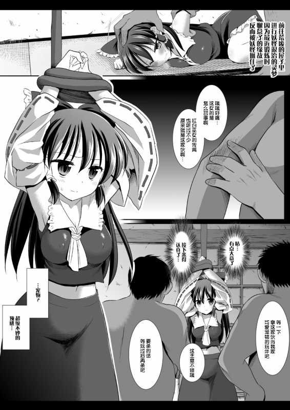 (COMIC1☆6) [Nagiyamasugi (Nagiyama)] Touhou ryoujoku 16 (Touhou Project) [Chinese]_03