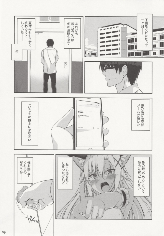 (C97) [Digital Flyer (Oota Yuuichi)] Neko to Geboku IV_07