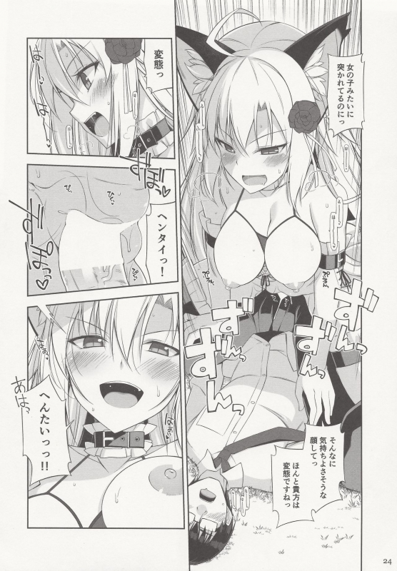 (C97) [Digital Flyer (Oota Yuuichi)] Neko to Geboku IV_22