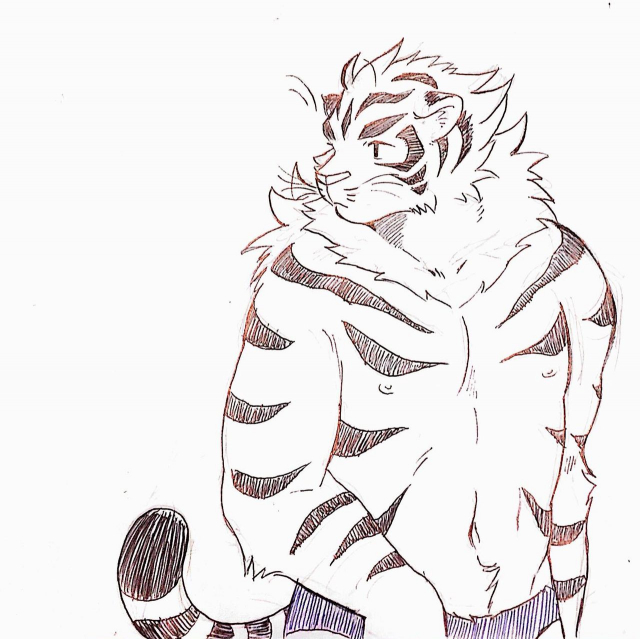 Koda_kota - Bunny and Tiger + extras_11