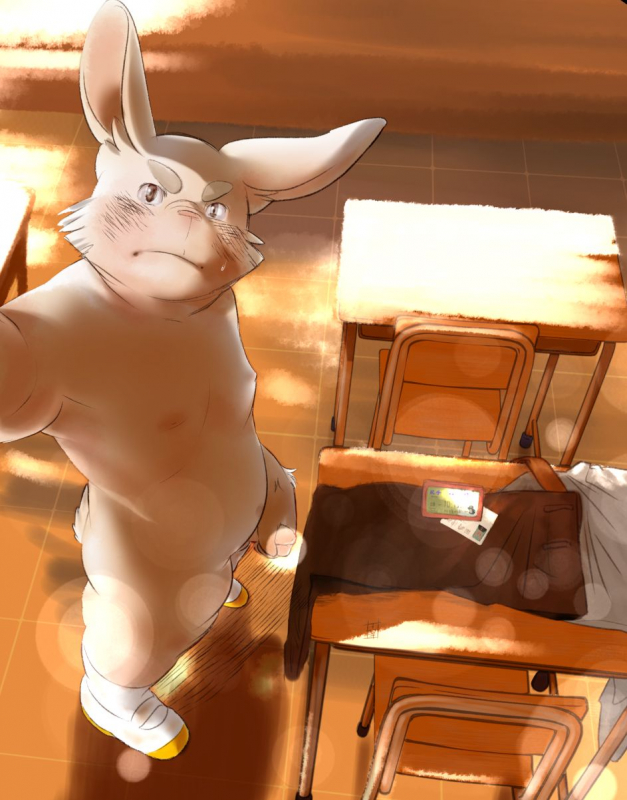 Koda_kota - Bunny and Tiger + extras_13