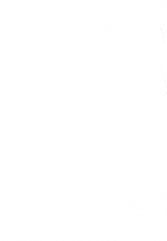 [Haraise Kaiwai (Yucchris)] HOWLING (Seiken Densetsu 3) [Digital]_32