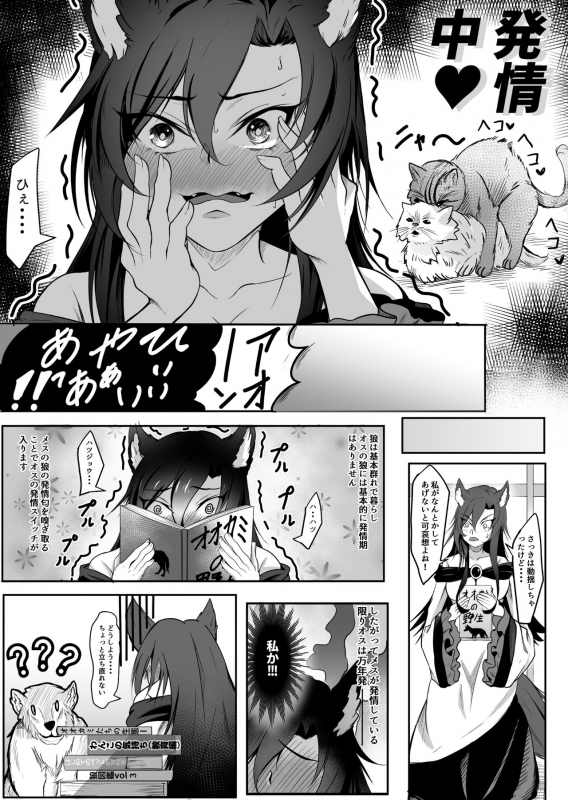 [Amakuro Okami (Mahimaru)] Kagerou x Ookami-kun (Touhou Project)_04