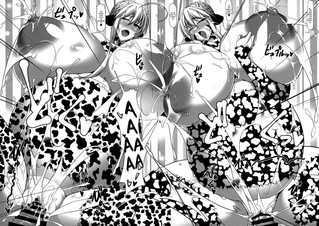 (COMIC1☆15) [IRON FIN (Tethubire)] Souou to Maguau (FateGrand Order) [English] [har_26