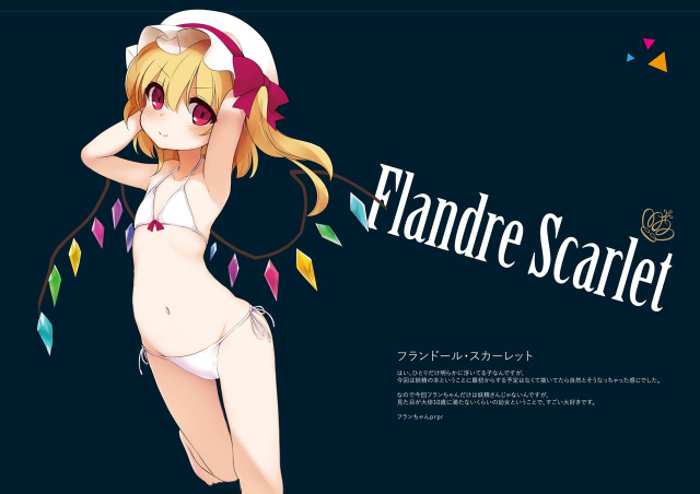 [MaybeNavy (Tumiki Akeno)] Touhou Shungashuu Youyuugiroku (Touhou Project) [Digital]_07