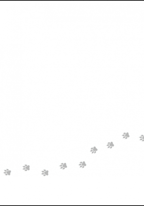 [Shikimi Bibi] Fukujuu to Amagami 服从与轻咬 Ch. 1-4 [Chinese] [拾荒者汉化组] [Digital]_108