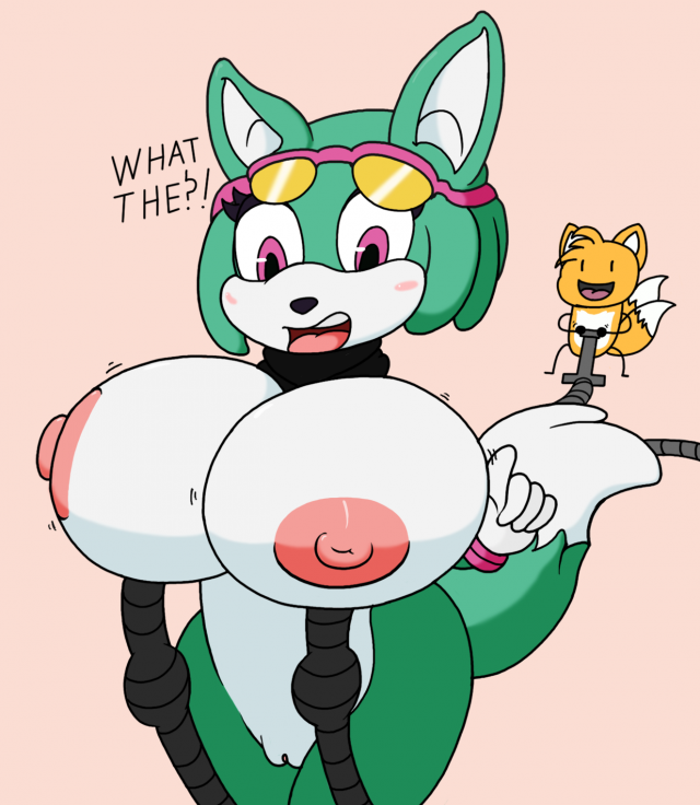 sonar the fennec+tails