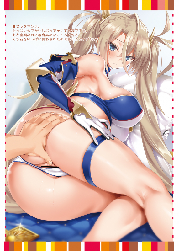 bradamante (fate grand order)