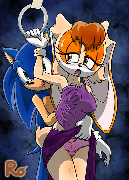 sonic the hedgehog+vanilla the rabbit