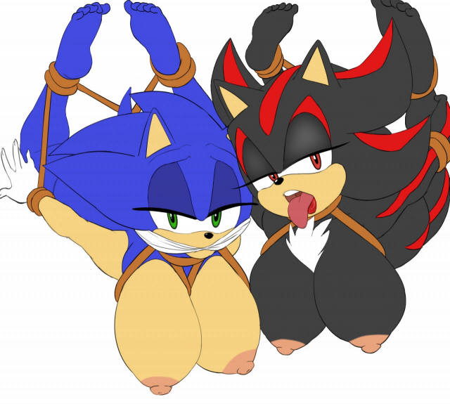 shadow the hedgehog+sonic the hedgehog