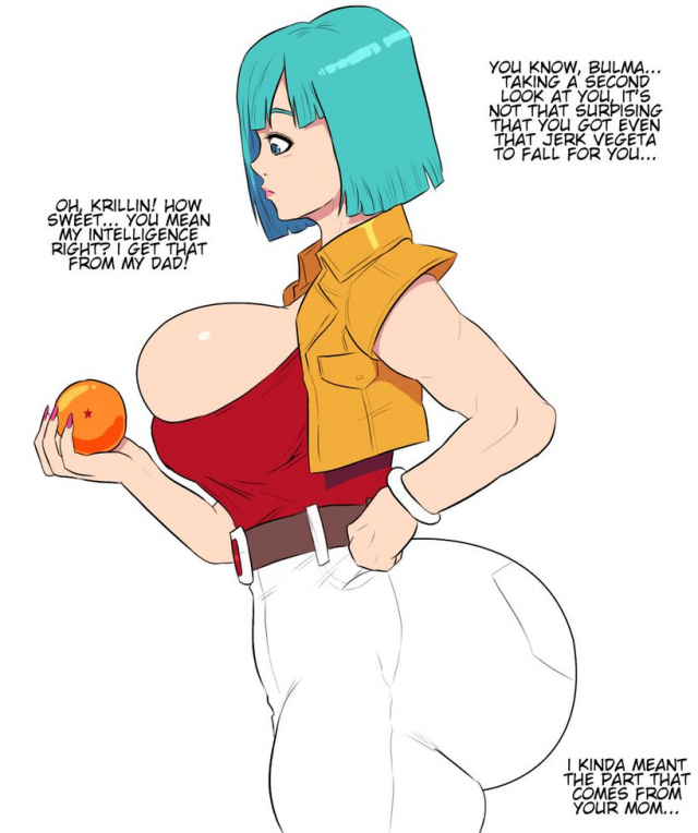 bulma briefs