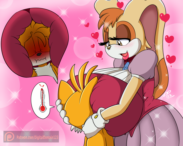 tails+vanilla the rabbit