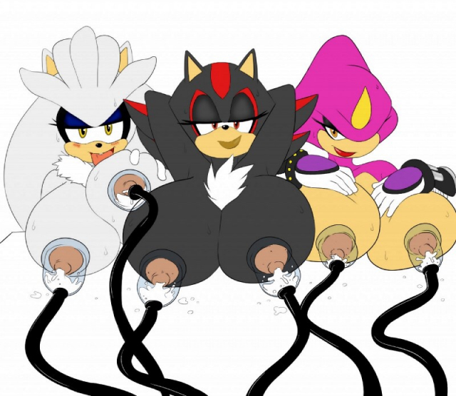 espio the chameleon+shadow the hedgehog+silver the hedgehog