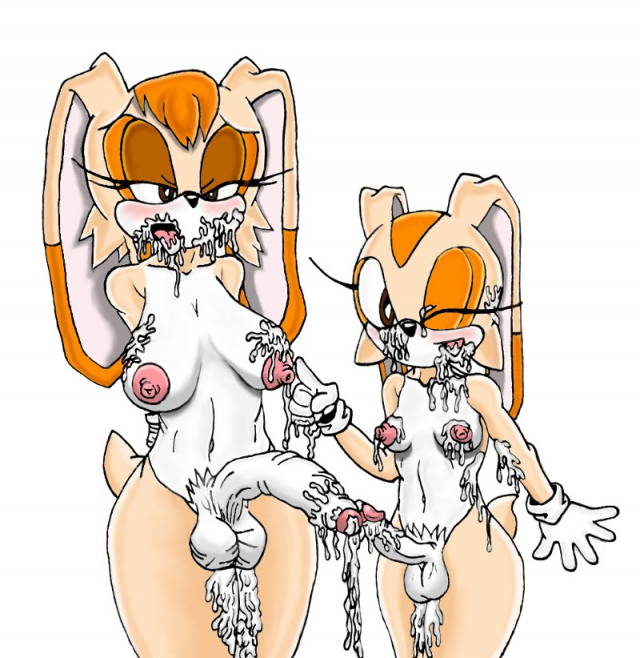 cream the rabbit+vanilla the rabbit