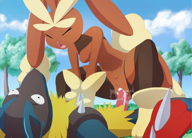 lopunny+lucario+mega lopunny+mega lucario