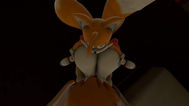 tails+vanilla the rabbit