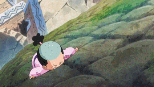 momonosuke (one piece)+monkey d luffy+nami (one piece)