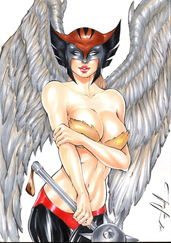 hawkgirl+shayera hol