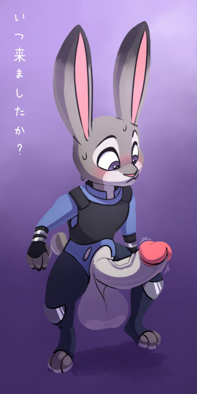 judy hopps