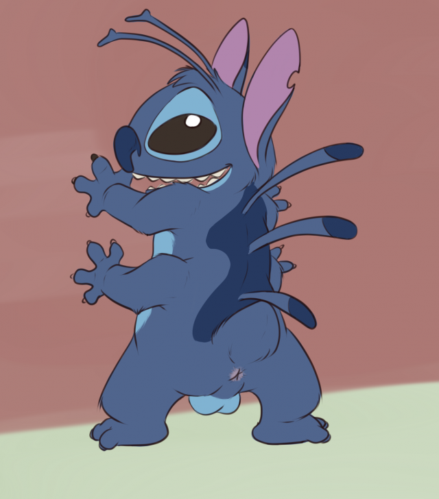 experiment (species)+stitch