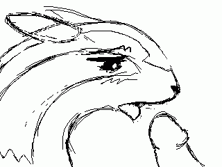 linoone+pok�mon (species)